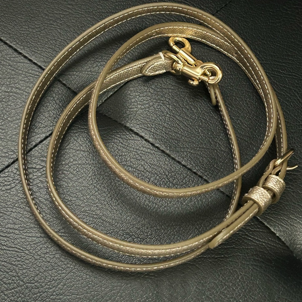 Coach Gold Leather Strap